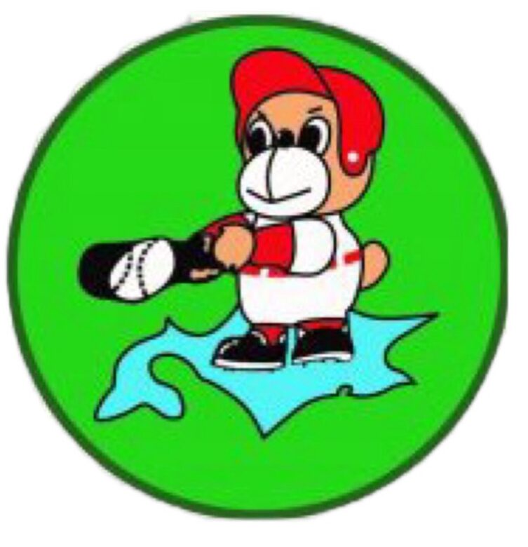      北海道少年軟式野球連盟